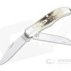 Case Pocket Hunter Two-Blade Genuine Stag 05621