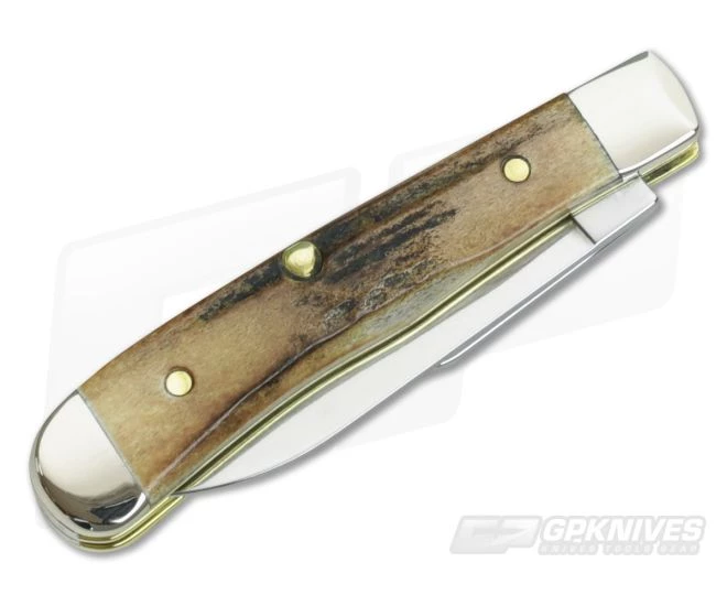 Case Tiny Trapper Wharncliffe Genuine India Stag - Image 2