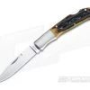 Moki Kronos Medium Amber Bone Stag Lockback