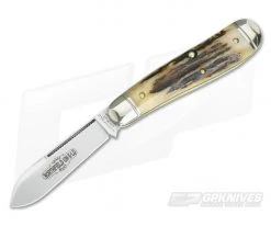 Northfield Cutlery #56 Bird Dog Sambar Stag #9